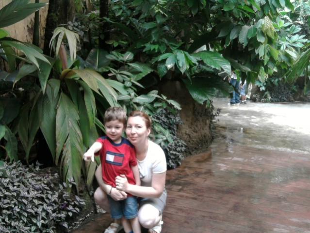 Name:  Fotoraf0699.jpg
Views: 535
Size:  55.4 KB