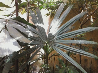 Name:  Fotoraf0722.jpg
Views: 523
Size:  50.6 KB