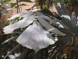 Name:  Fotoraf0723.jpg
Views: 511
Size:  49.1 KB