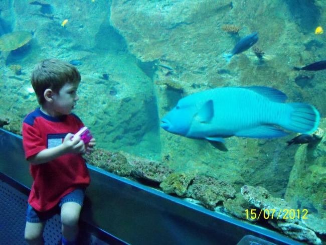 Name:  100_8986.jpg
Views: 505
Size:  54.7 KB