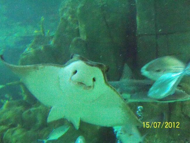 Name:  100_8917.jpg
Views: 480
Size:  41.0 KB
