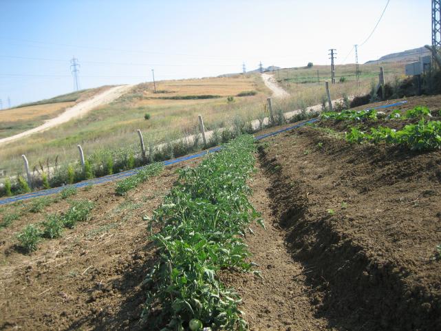 Name:  atalca 003.jpg
Views: 1880
Size:  70.4 KB