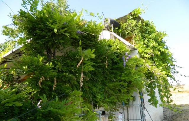 Name:  Kopyas Resim 227.jpg
Views: 1973
Size:  56.3 KB