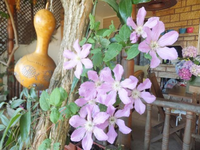 Name:  DSCF3792.jpg
Views: 362
Size:  57.1 KB