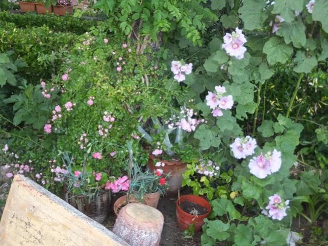 Name:  DSCF3854.jpg
Views: 338
Size:  68.2 KB