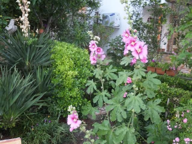 Name:  DSCF3855.jpg
Views: 363
Size:  69.0 KB