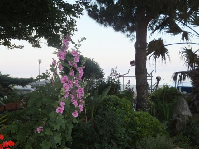 Name:  DSCF3856.jpg
Views: 347
Size:  52.8 KB