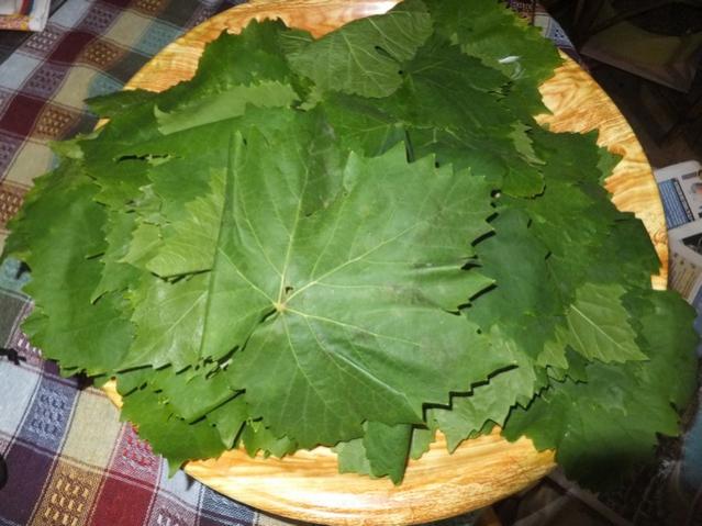Name:  DSCF3874.jpg
Views: 318
Size:  48.8 KB