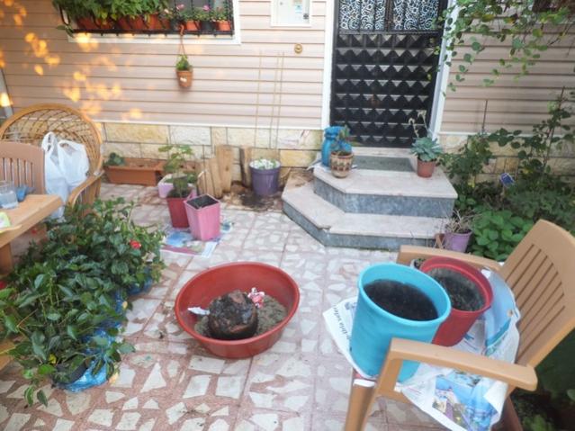 Name:  DSCF3887.jpg
Views: 357
Size:  58.5 KB