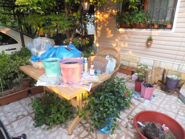 Name:  DSCF3889.jpg
Views: 349
Size:  61.4 KB
