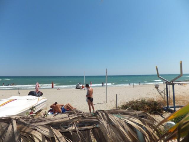 Name:  DSCF3896.jpg
Views: 371
Size:  33.8 KB