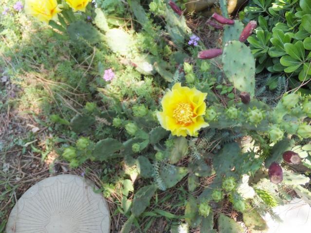 Name:  DSCF3998.jpg
Views: 383
Size:  65.0 KB