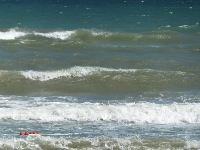 Name:  DSCF3983.jpg
Views: 325
Size:  37.7 KB