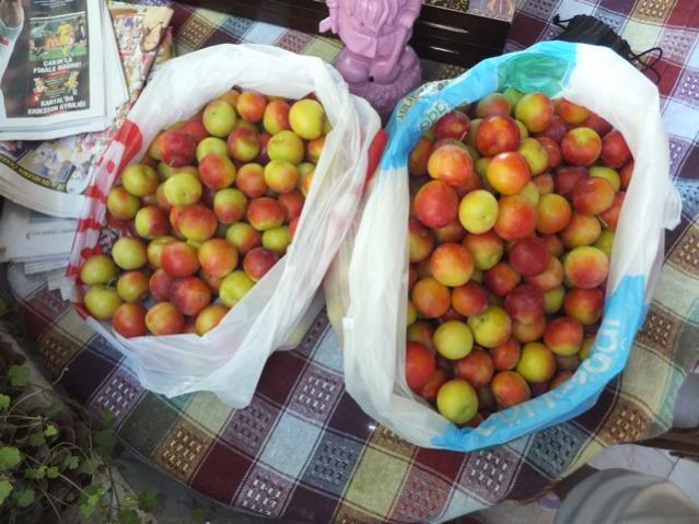 Name:  DSCF4003.jpg
Views: 327
Size:  55.9 KB