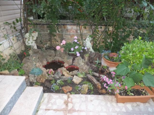 Name:  DSCF4017.jpg
Views: 375
Size:  58.1 KB