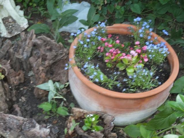 Name:  DSCF4023.jpg
Views: 346
Size:  54.3 KB