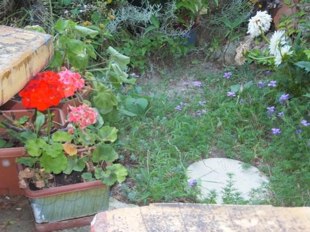 Name:  DSCF4043.jpg
Views: 345
Size:  65.6 KB