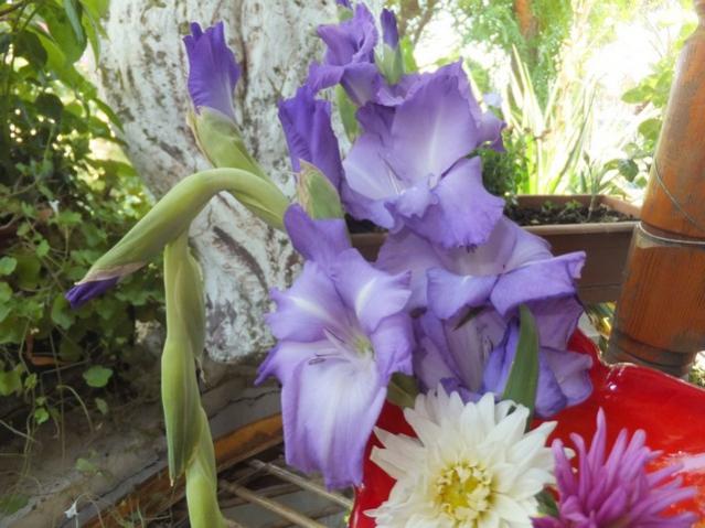 Name:  DSCF4059.jpg
Views: 323
Size:  50.8 KB