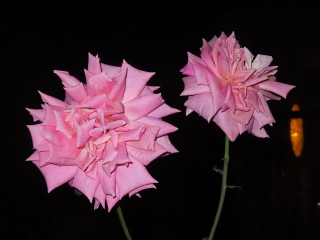 Name:  DSCF4166.jpg
Views: 368
Size:  59.3 KB