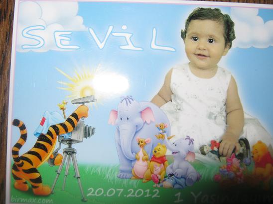 Name:  sevil.JPG
Views: 1171
Size:  44.4 KB