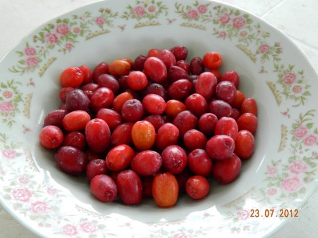 Name:  Resim 006.jpg
Views: 1470
Size:  41.4 KB
