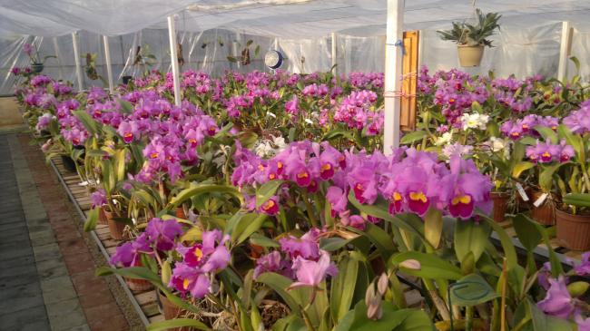Name:  2012-02-19-013.jpg
Views: 2832
Size:  54.0 KB