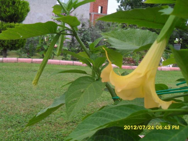 Name:  028.jpg
Views: 1038
Size:  50.9 KB
