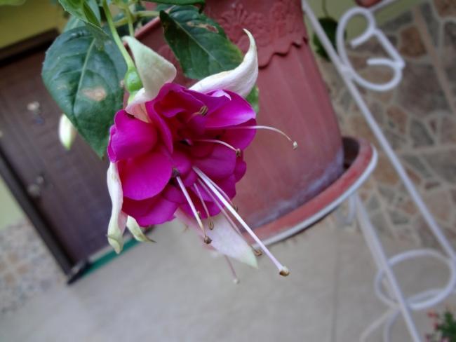 Name:  kp.pem.jpg
Views: 1302
Size:  31.9 KB