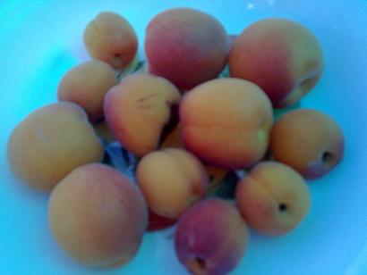 Name:  Grnt0757.jpg
Views: 387
Size:  16.4 KB
