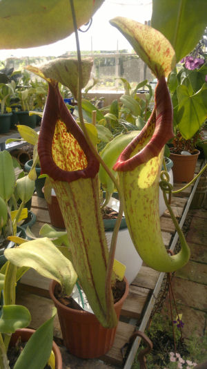 Name:  2012-06-16-284rs.jpg
Views: 1038
Size:  57.0 KB