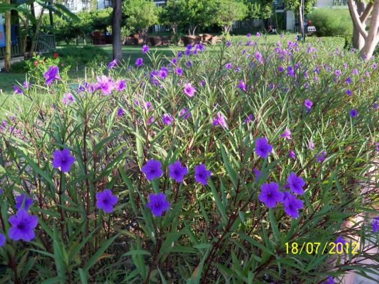 Name:  100_9081.jpg
Views: 501
Size:  72.6 KB