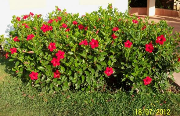Name:  100_9087.jpg
Views: 442
Size:  71.2 KB