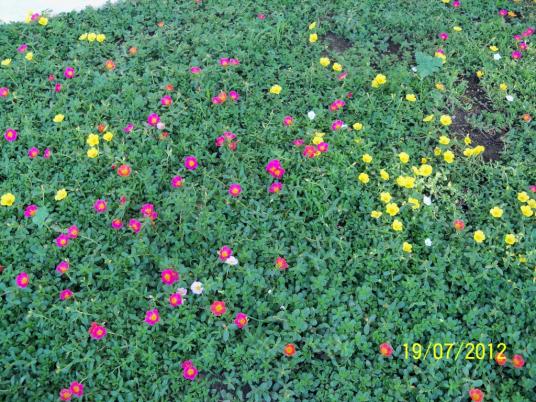 Name:  100_9229.jpg
Views: 431
Size:  73.8 KB