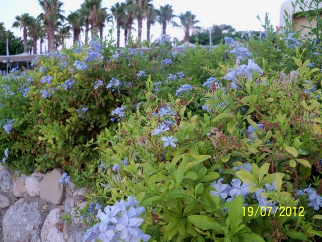 Name:  100_9327.jpg
Views: 452
Size:  70.7 KB