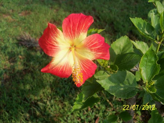 Name:  100_9502.jpg
Views: 408
Size:  48.2 KB