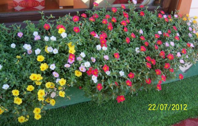 Name:  100_9505.jpg
Views: 414
Size:  70.0 KB