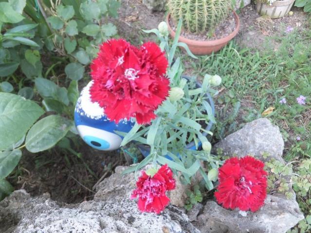 Name:  DSCF4225.jpg
Views: 726
Size:  66.1 KB