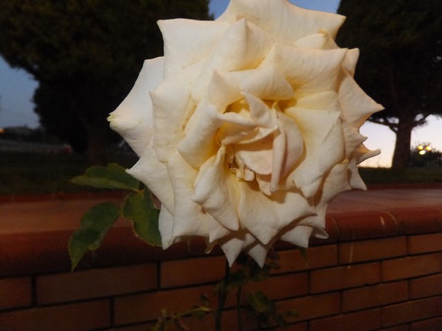 Name:  DSCF4251.jpg
Views: 466
Size:  60.6 KB