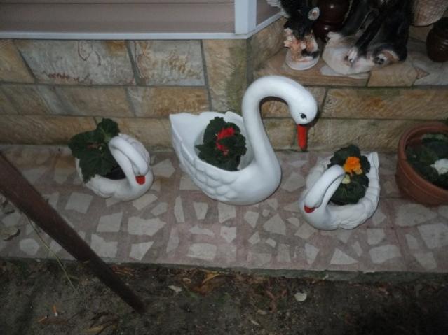 Name:  DSCF4289.jpg
Views: 1645
Size:  39.4 KB