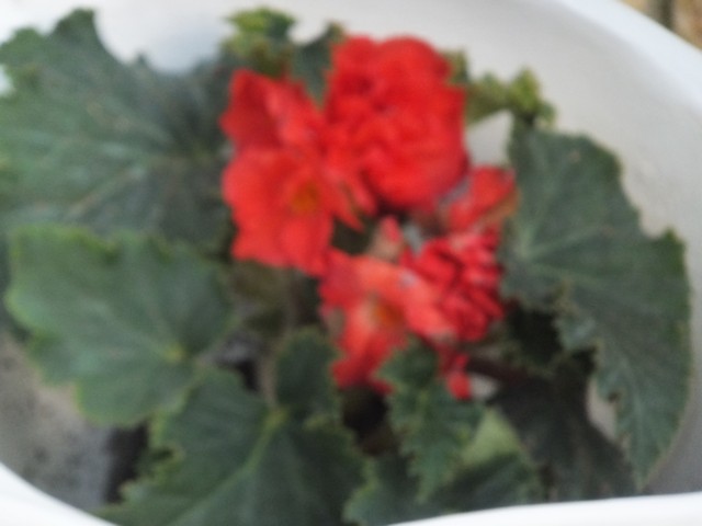 Name:  DSCF4312.jpg
Views: 699
Size:  51.8 KB