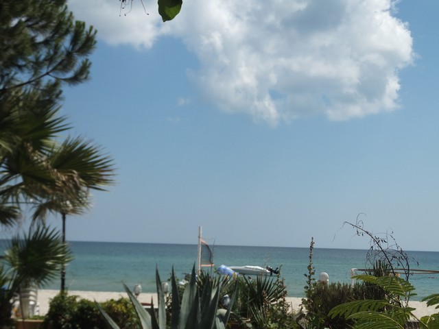 Name:  DSCF4387.jpg
Views: 617
Size:  64.3 KB