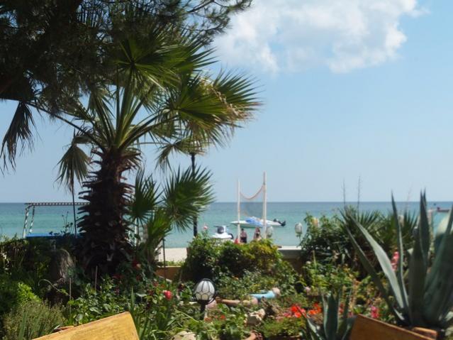 Name:  DSCF4388.jpg
Views: 583
Size:  51.9 KB