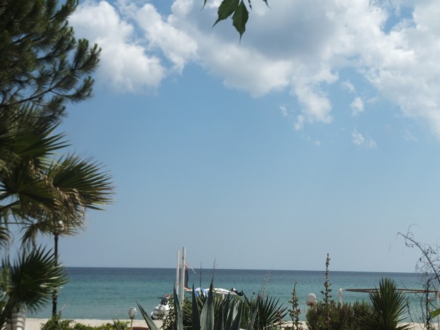 Name:  DSCF4392.jpg
Views: 847
Size:  66.2 KB