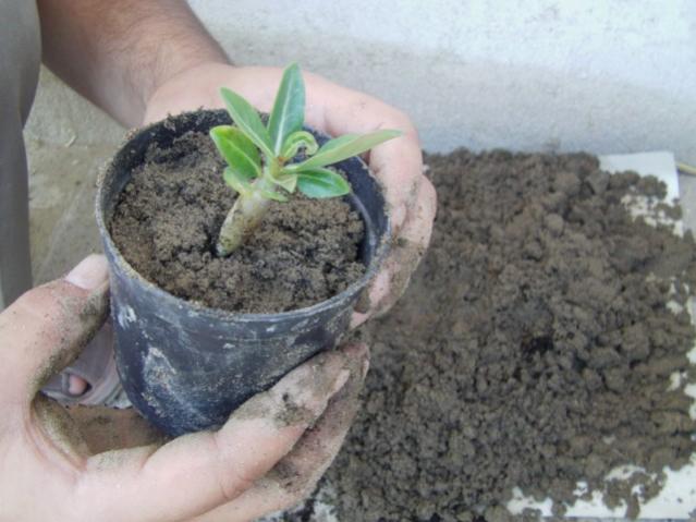 Name:  IMAG0024 [640x480].jpg
Views: 593
Size:  42.7 KB