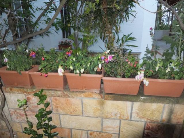 Name:  DSCF4358.jpg
Views: 437
Size:  57.4 KB