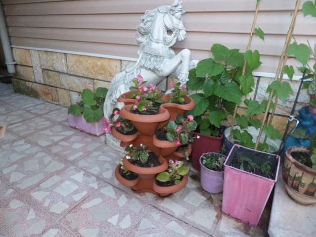 Name:  DSCF4359.jpg
Views: 452
Size:  47.7 KB