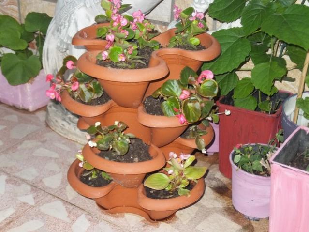 Name:  DSCF4360.jpg
Views: 479
Size:  53.6 KB