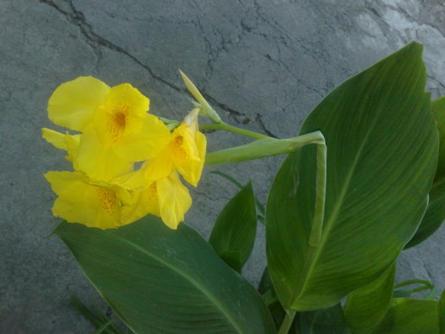 Name:  29012008601.jpg
Views: 821
Size:  33.8 KB