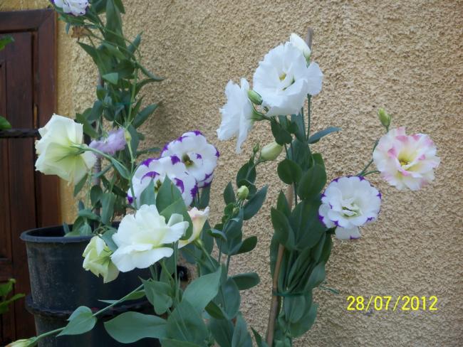 Name:  100_9634.jpg
Views: 330
Size:  62.8 KB
