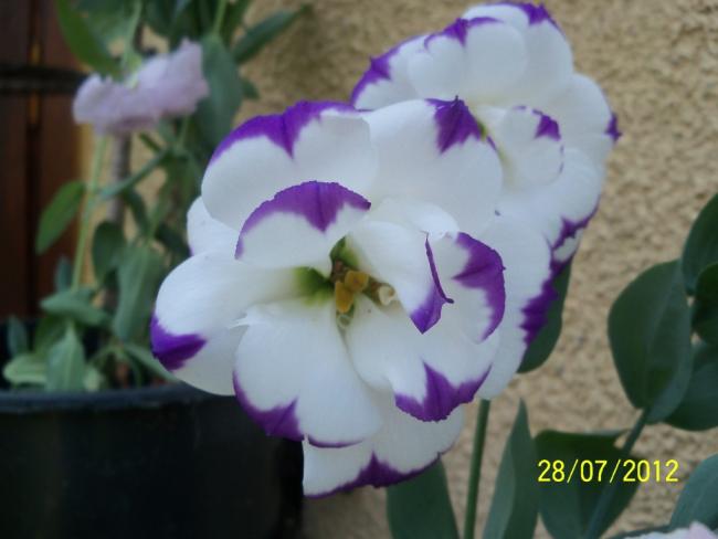 Name:  100_9636.jpg
Views: 350
Size:  30.3 KB